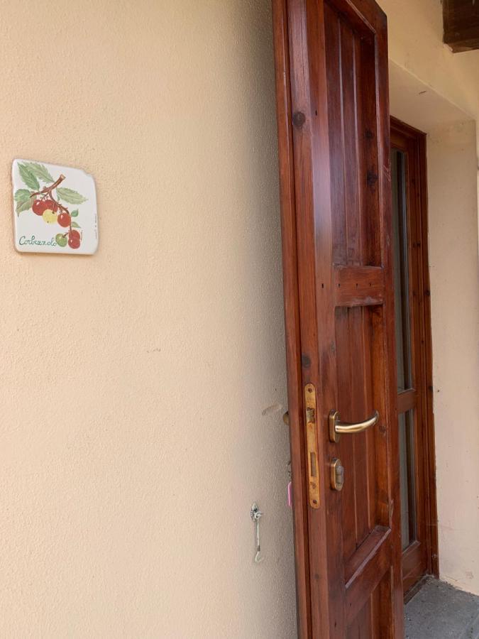 Agriturismo Terra Noas Villaurbana Zewnętrze zdjęcie